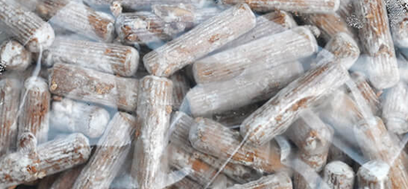Dibluri Shiitake – borcan 900ml