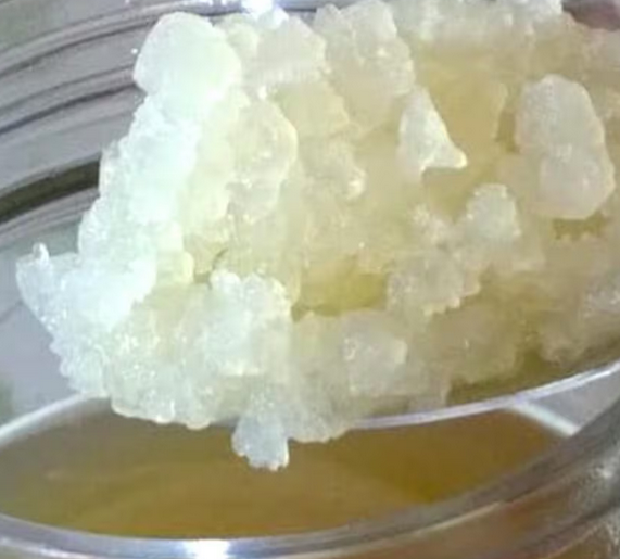 Kefir de apă (Tibicos)
