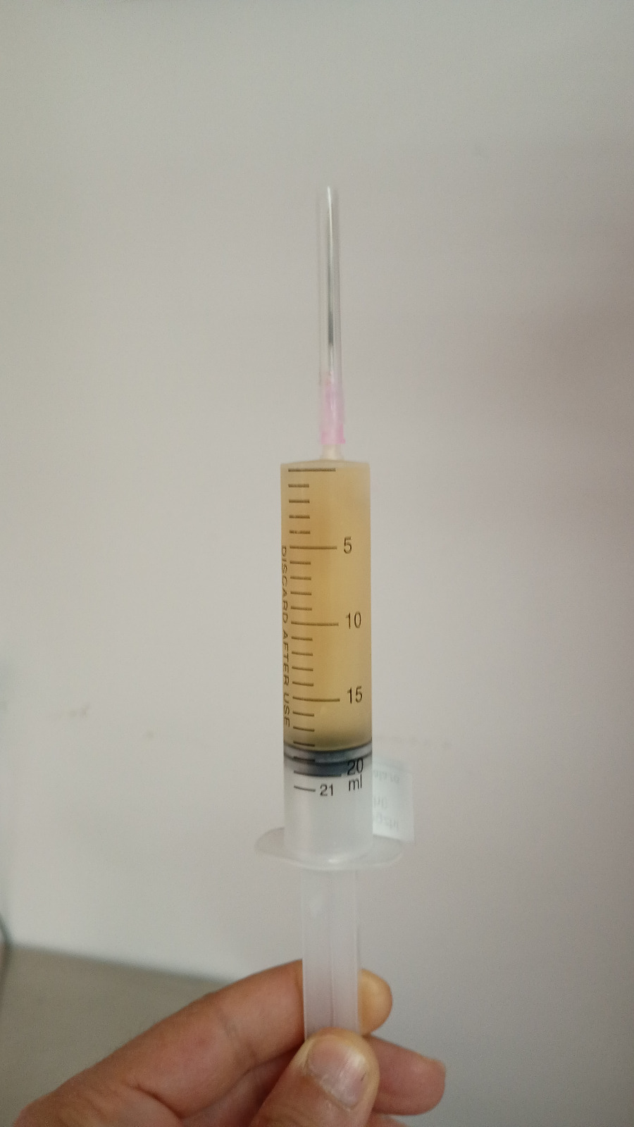 Miceliu Pleurotus – 25ml