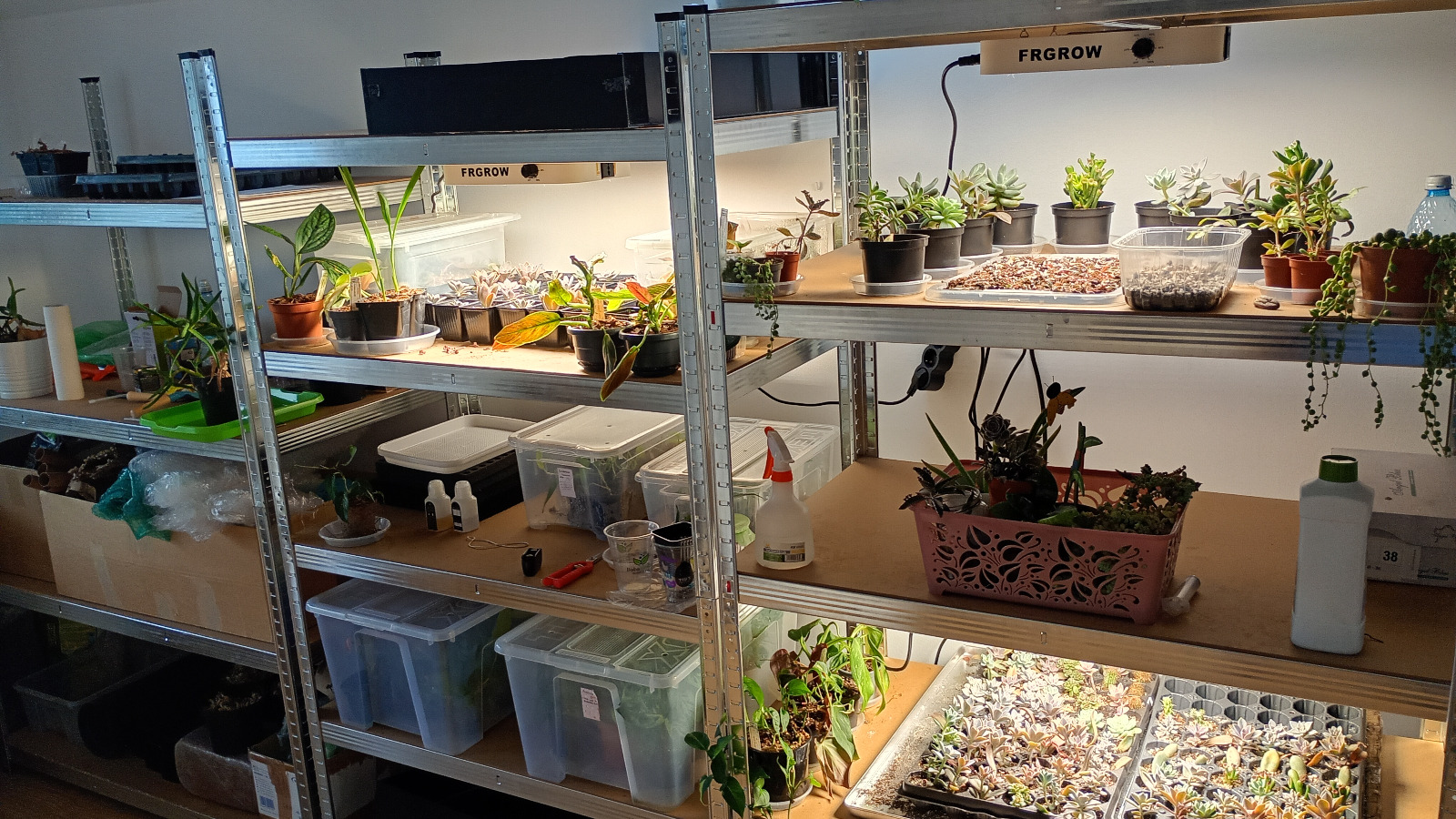 camera plante